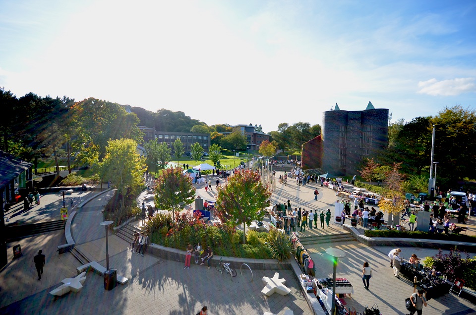 Leading innovation in student mental health